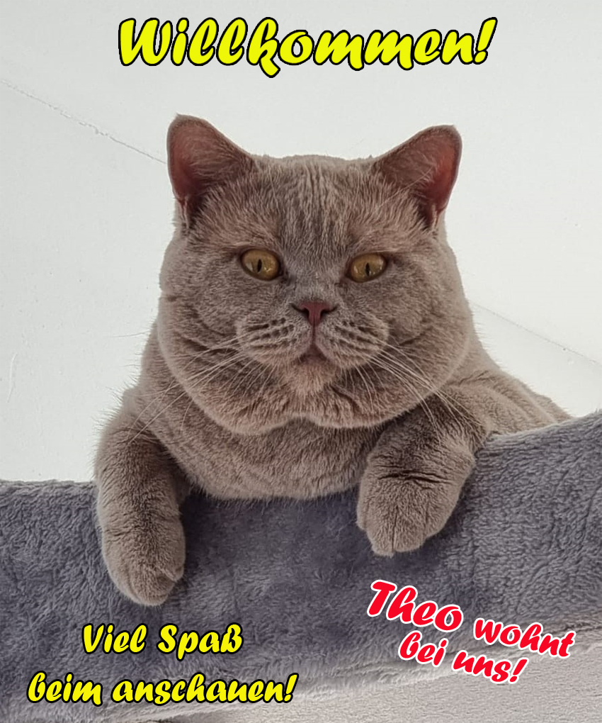 Titel_031123a